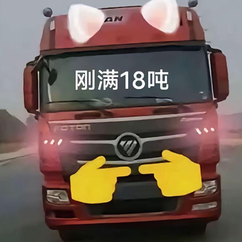 百吨王就给我的保险说去吧你我就是他爹