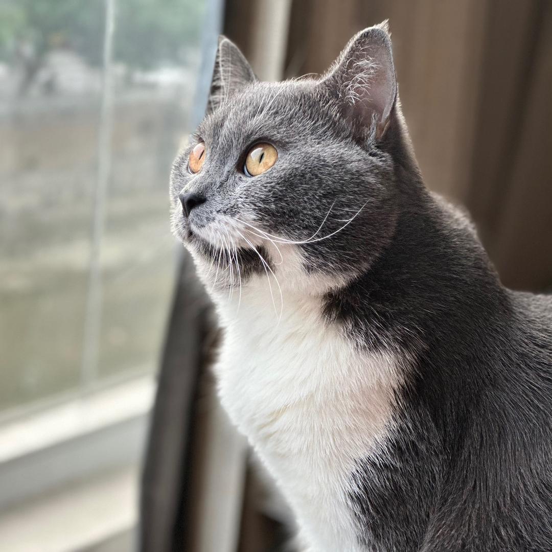 束