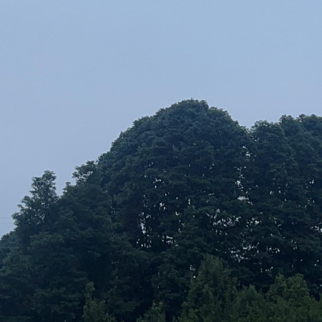 无敌弟弟