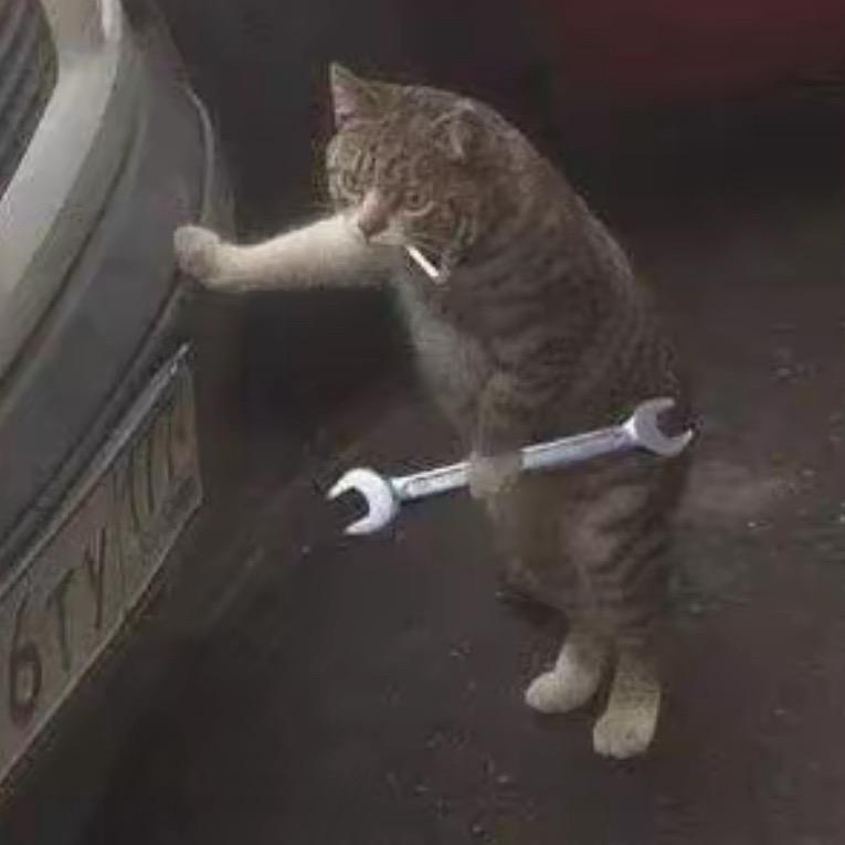 我每天都超级超级困