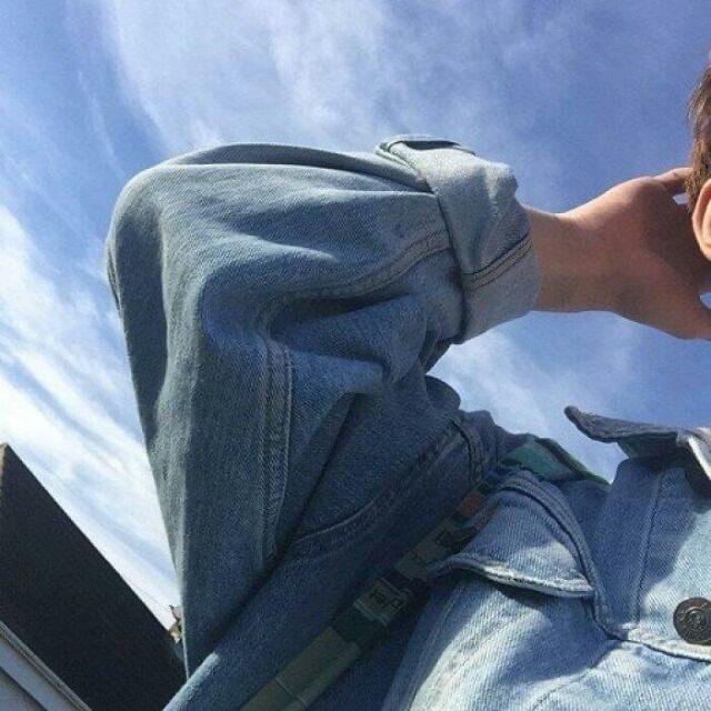 枫