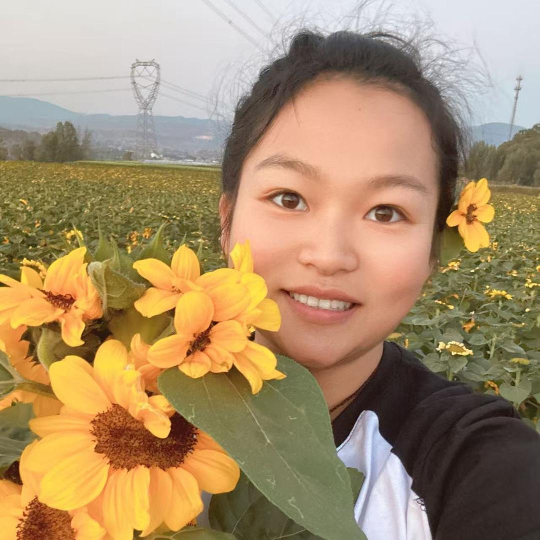 李花花（云南鲜花基地直发）