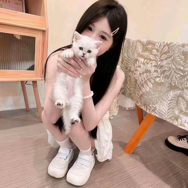 清风好物推荐