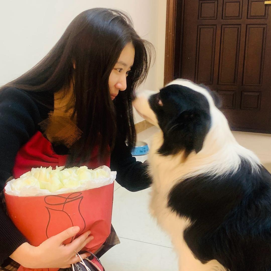 盛京牧歌犬舍