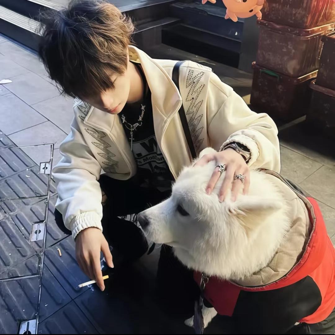 不属于