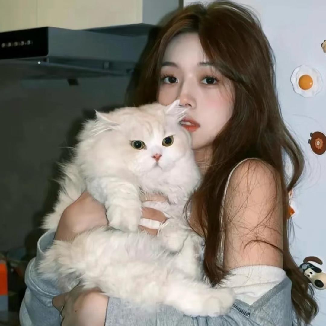 不是偏爱