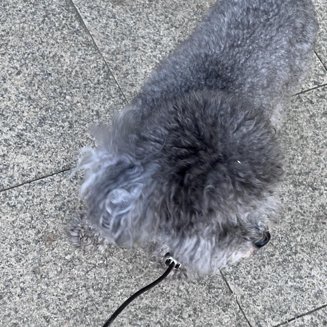 小南的义兴宝库