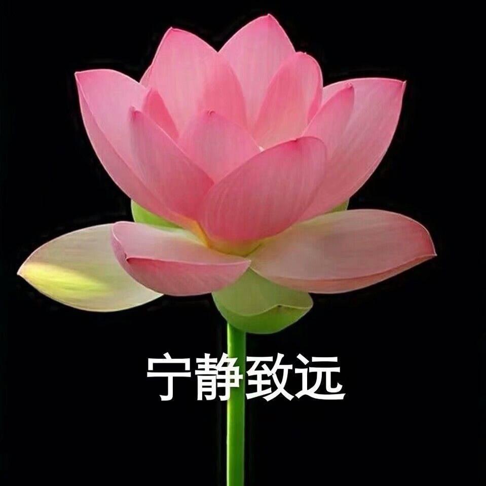 游戏老八