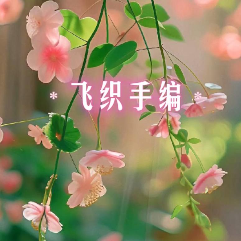 飞织手编