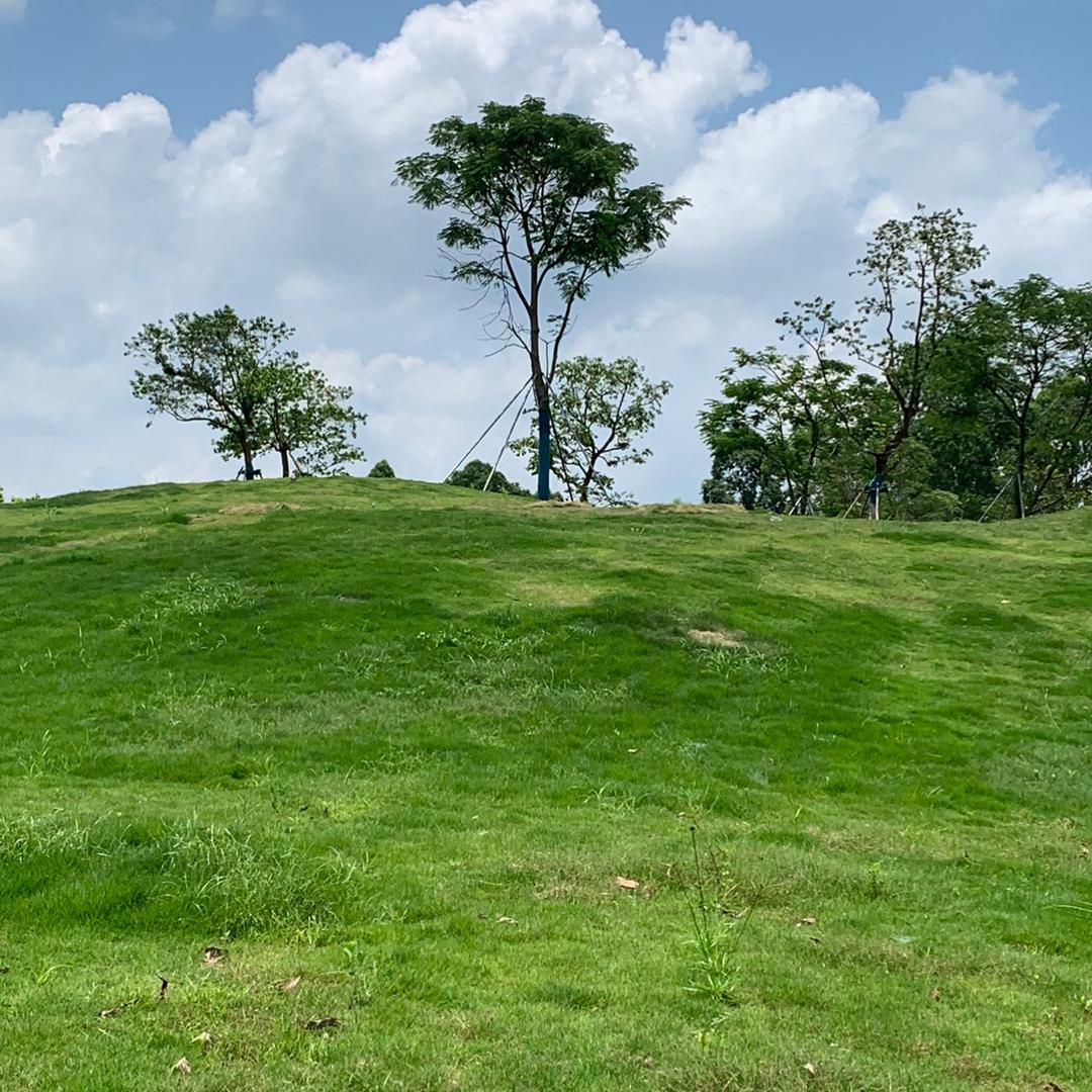 茂名亚婶57244129086