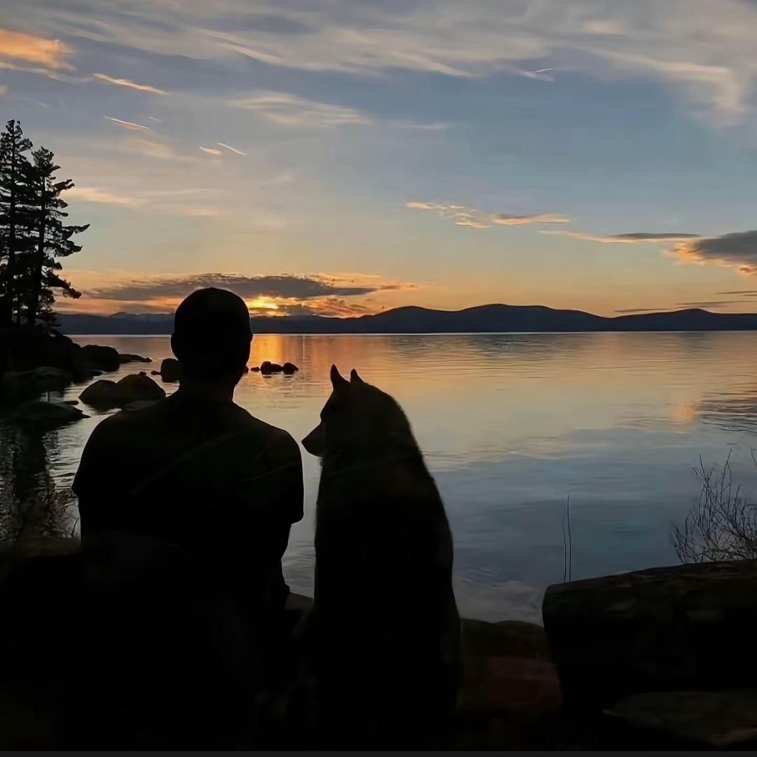 会喷火的杰尼龟