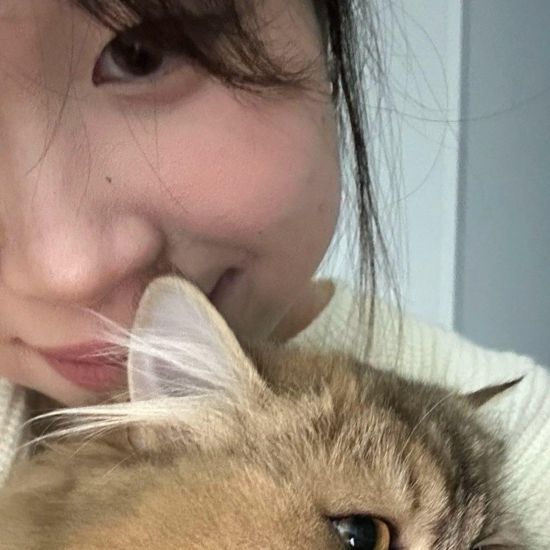 Zz💤