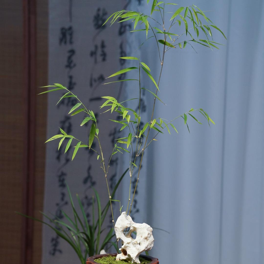 文卿器物