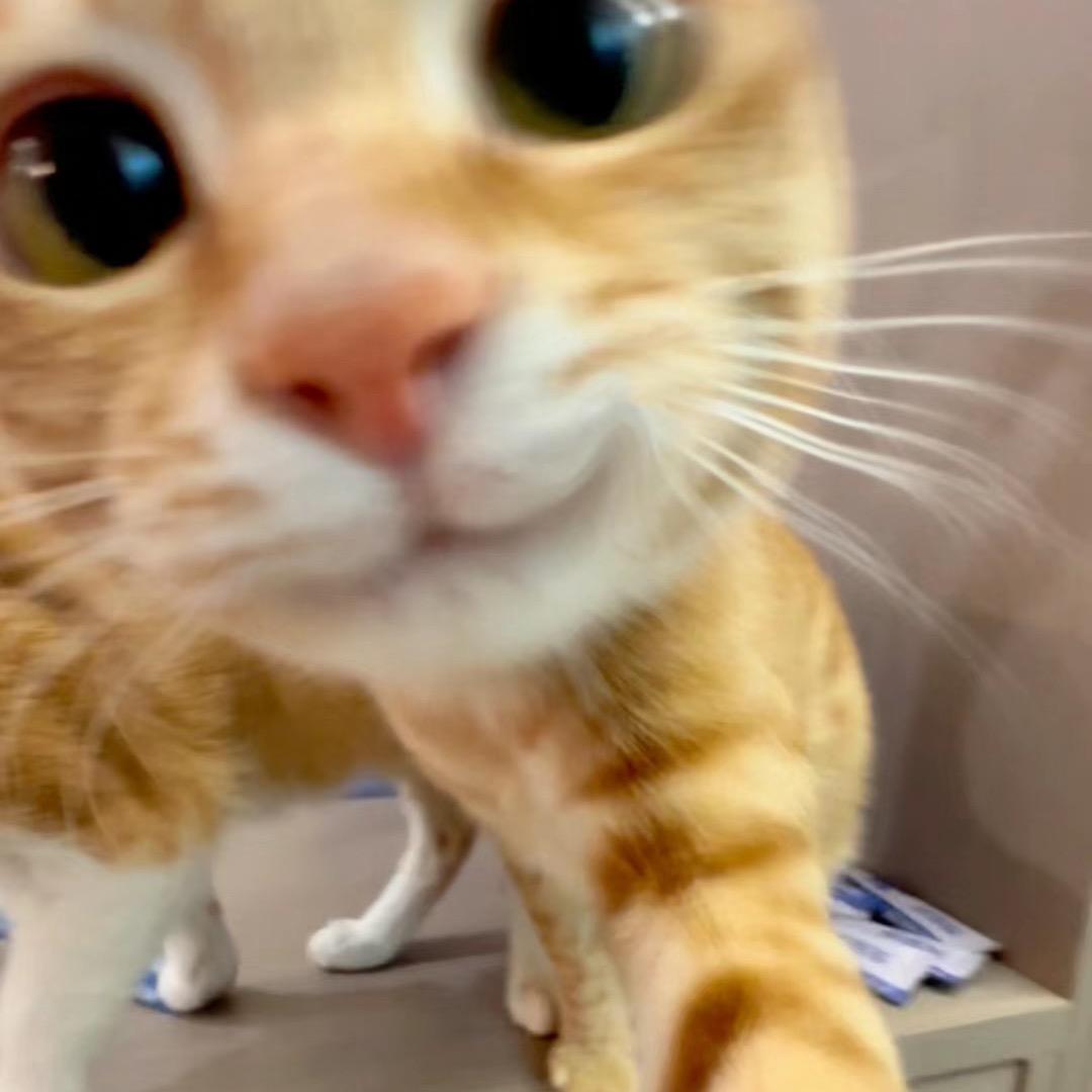 当小3️⃣老是被抓