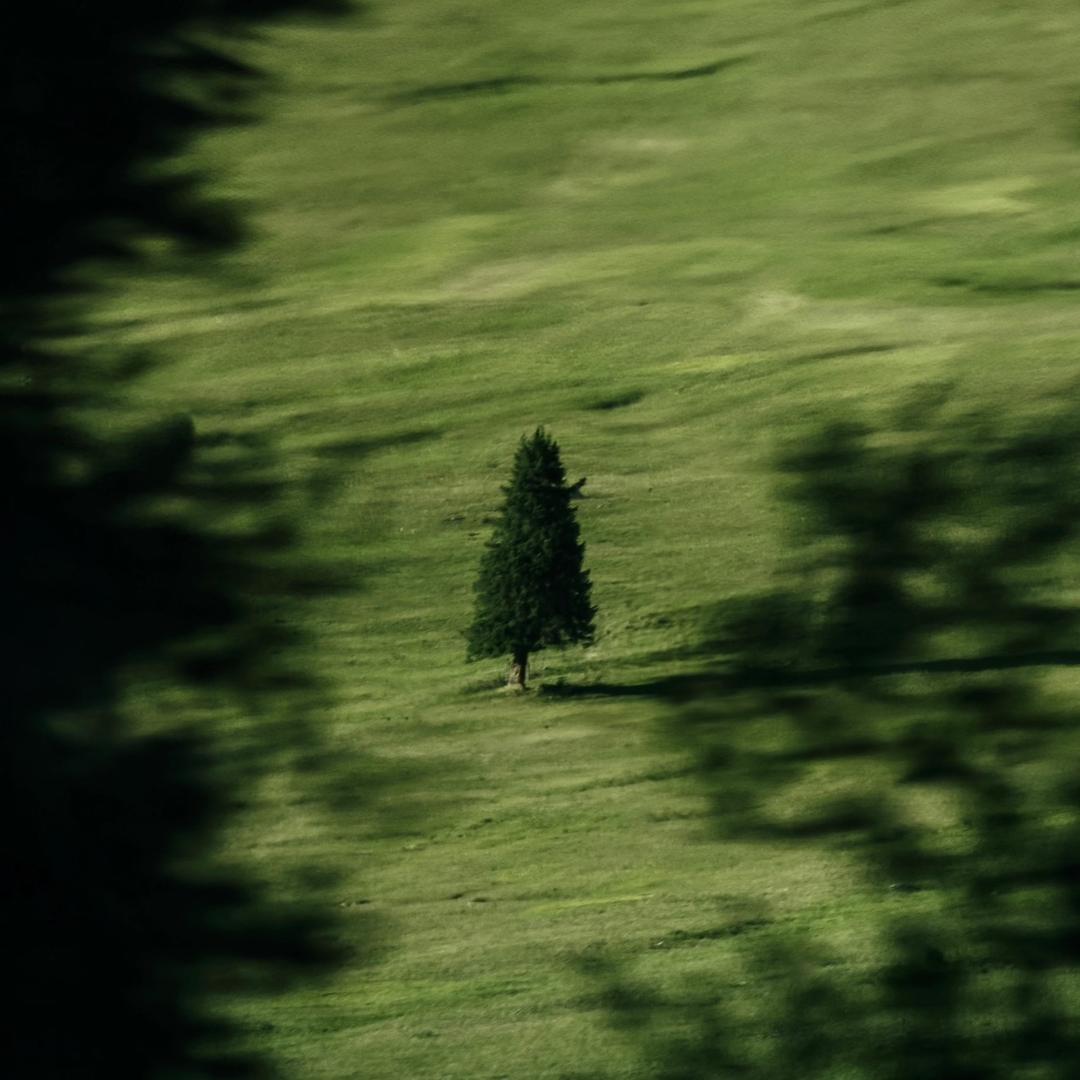 广州寻迹好先生