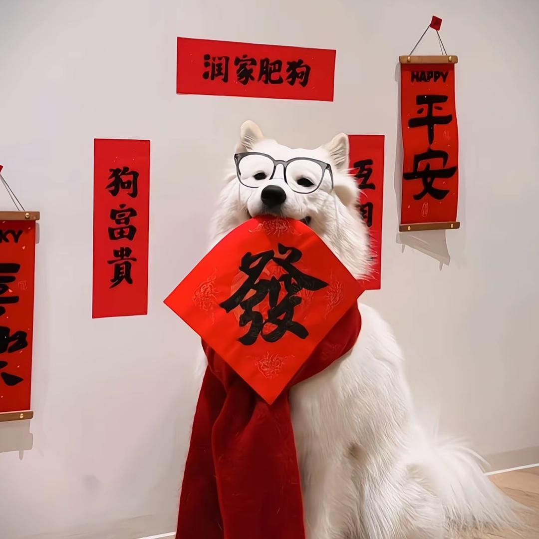 乡村小谢