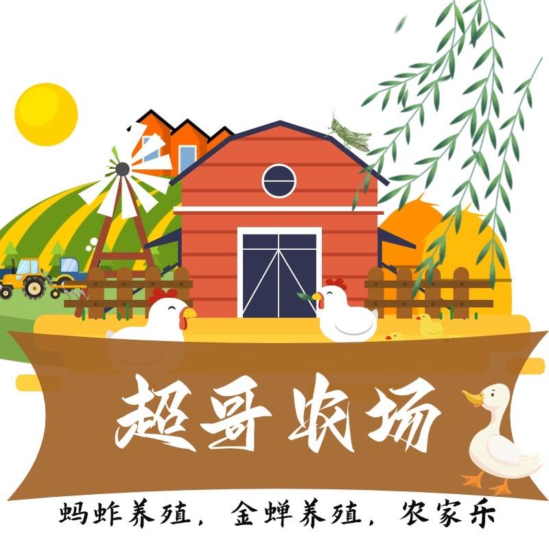 超哥农场