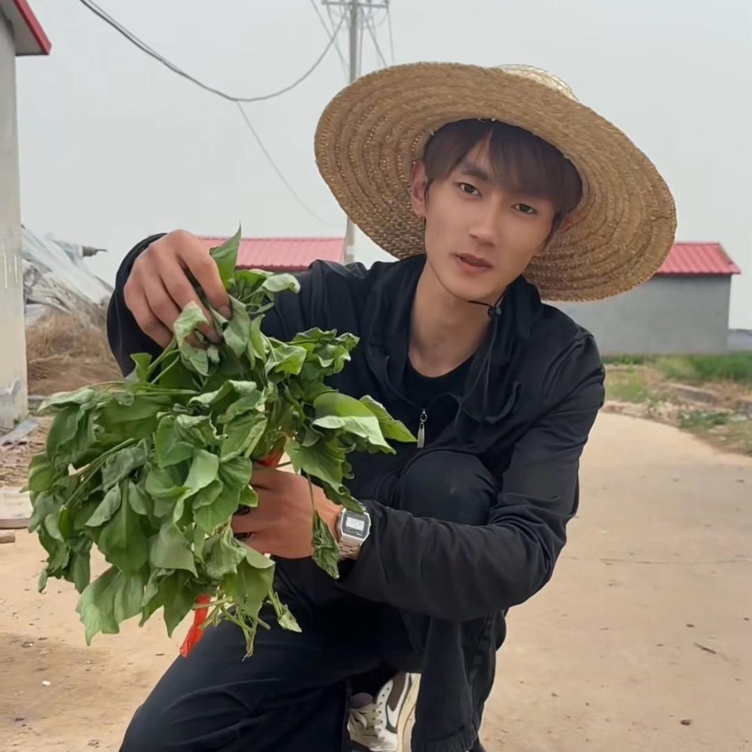 新农人一凡