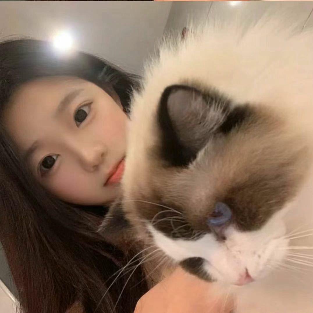晓静