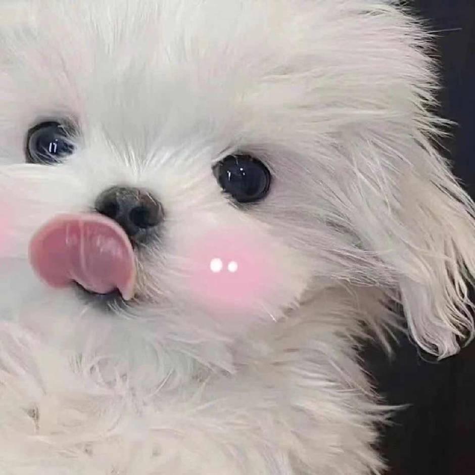 感悟生活