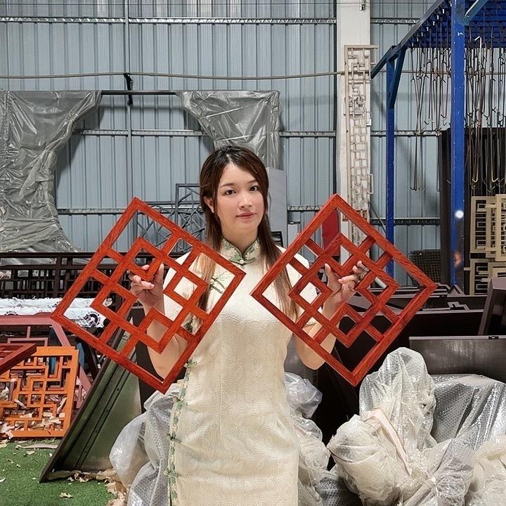 广东佛山铝业-雅萍