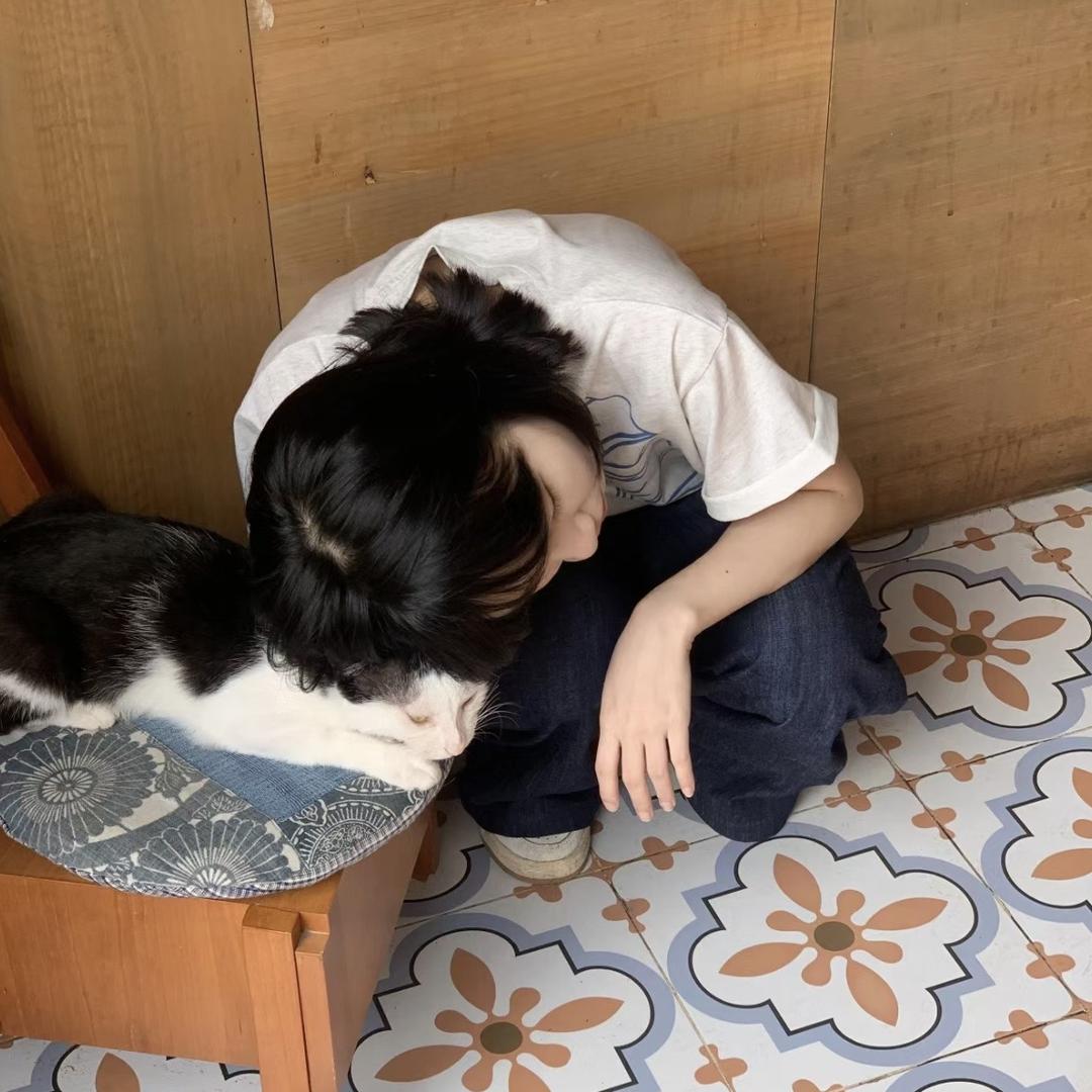 不见风雨月