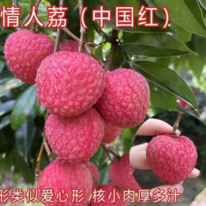 景旺园种植基地