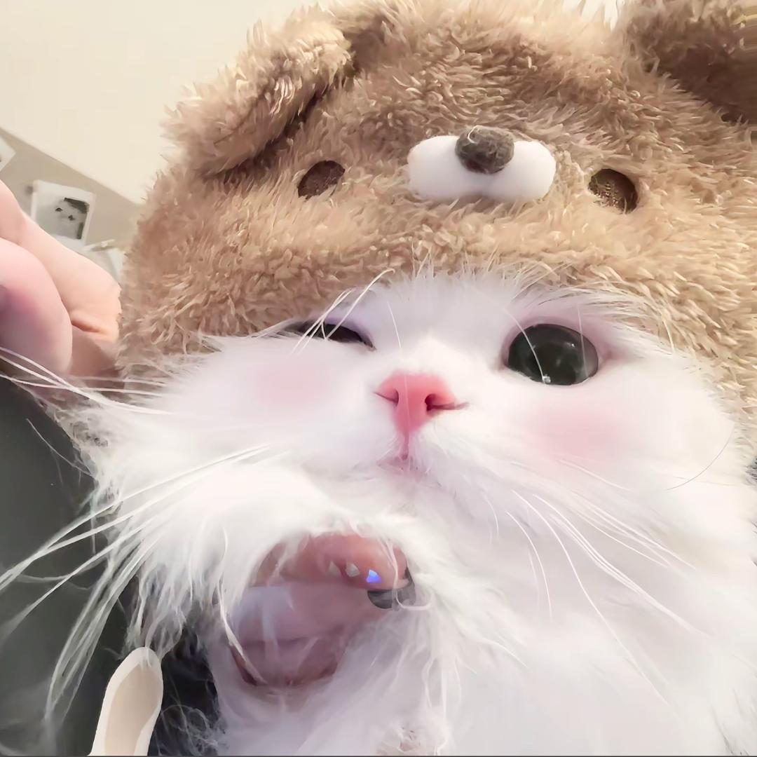 小蕾