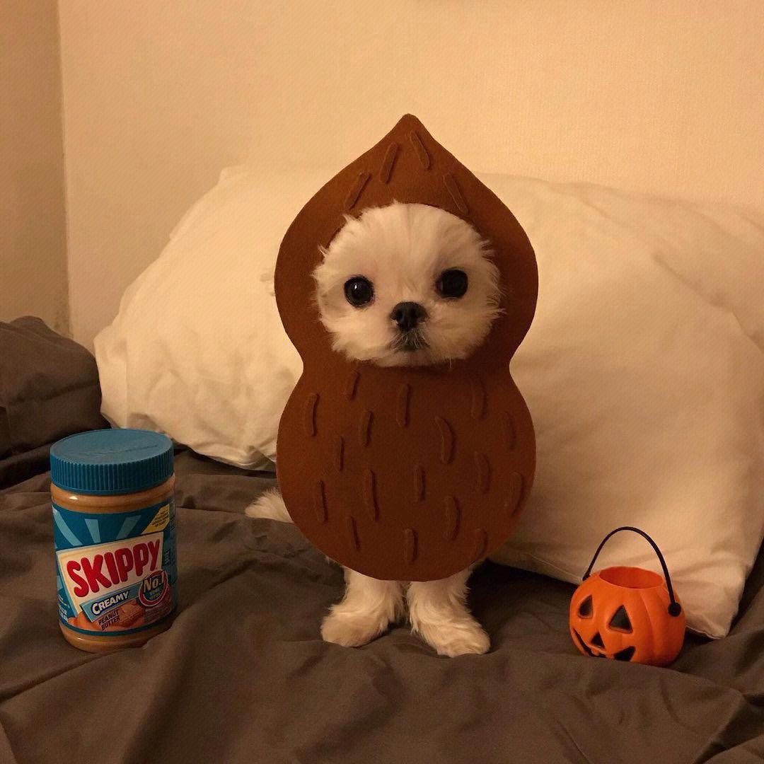 N神(见过马龙版)