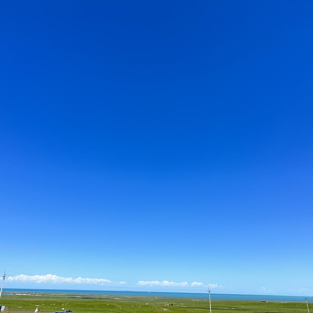 山野寄余生