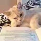 微风徐徐徐徐徐