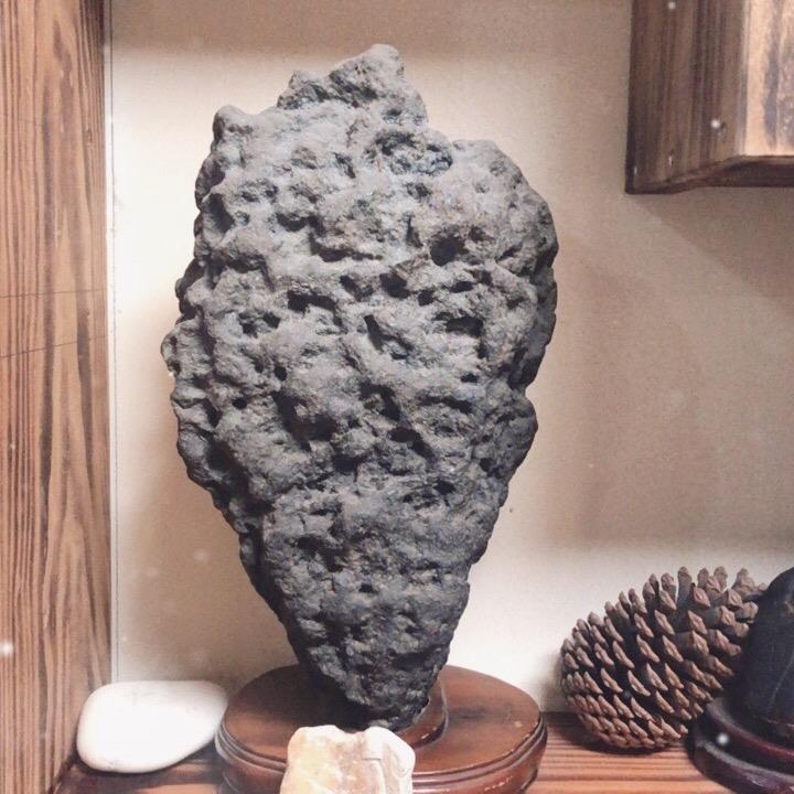 除树王