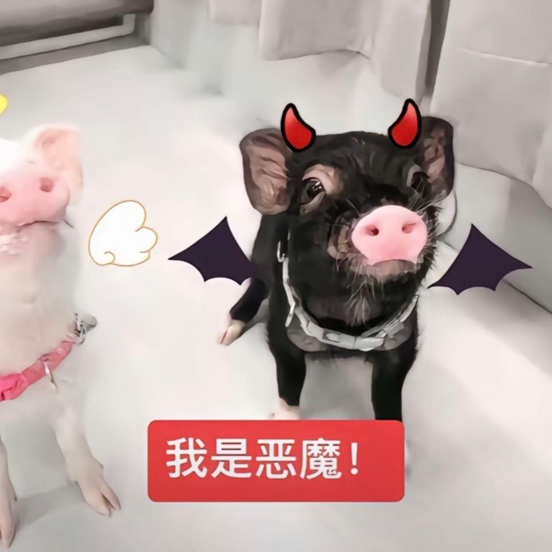 法为什么这个世界对我这么坏