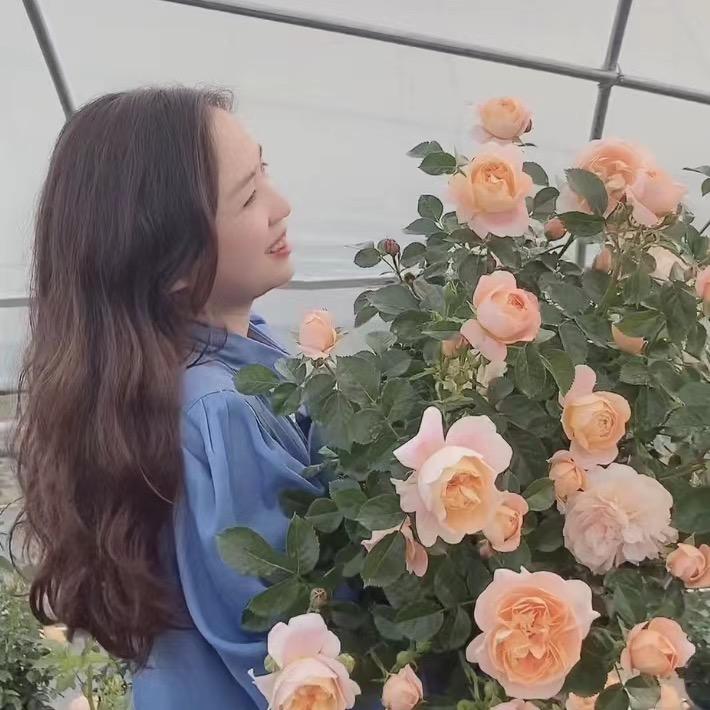 四妹家花园