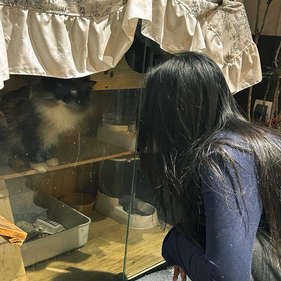 热心市民宋女士