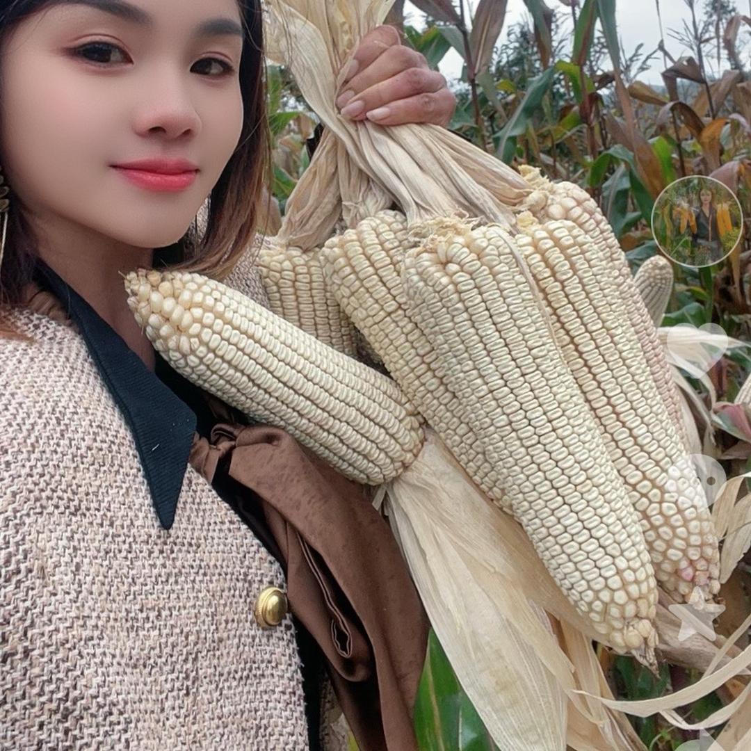 朱三妹@大湾公交车下30米供销放心农资店