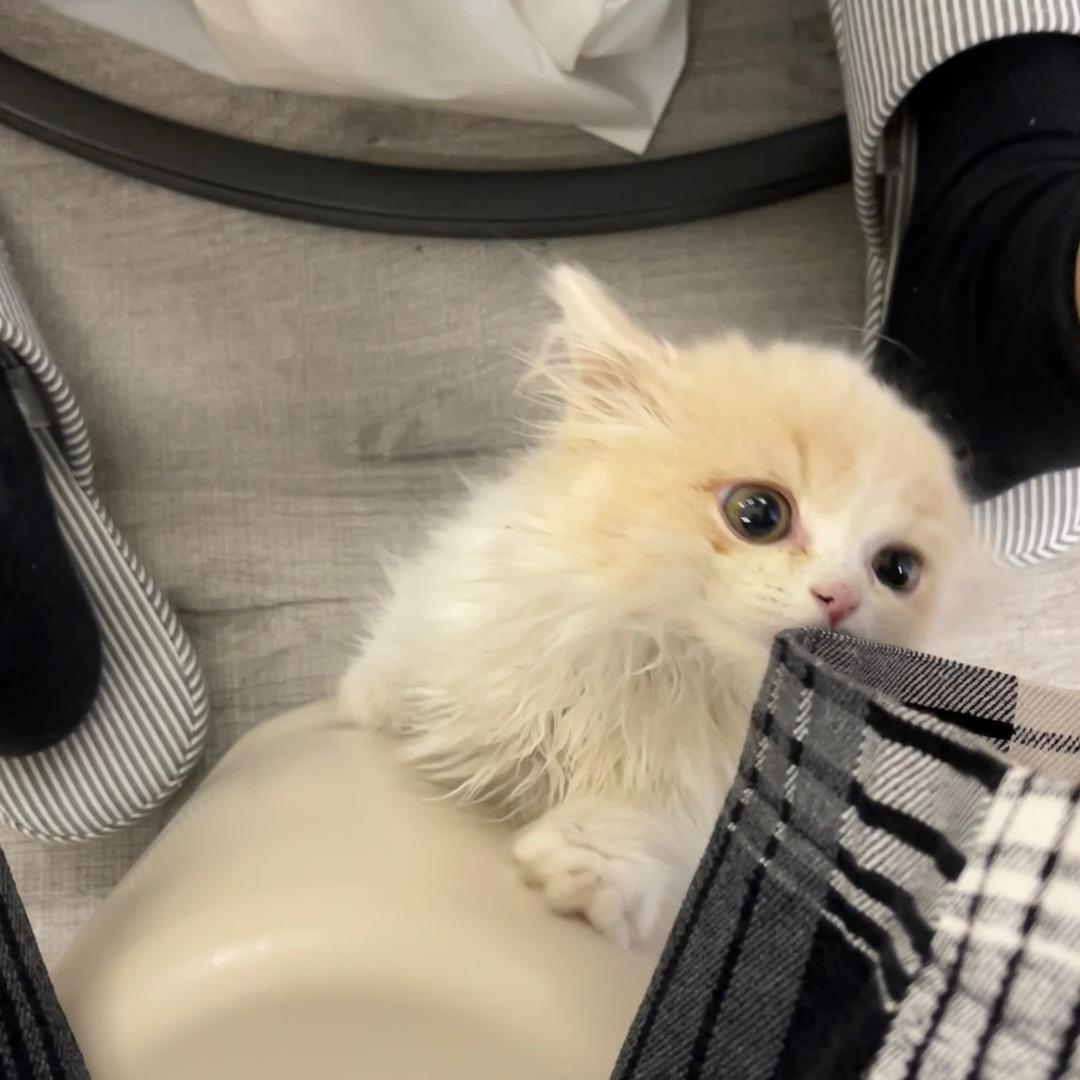 冬冬家·羊毛羊绒