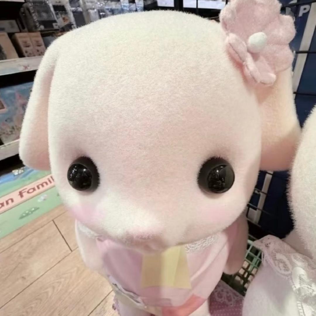🐰头像