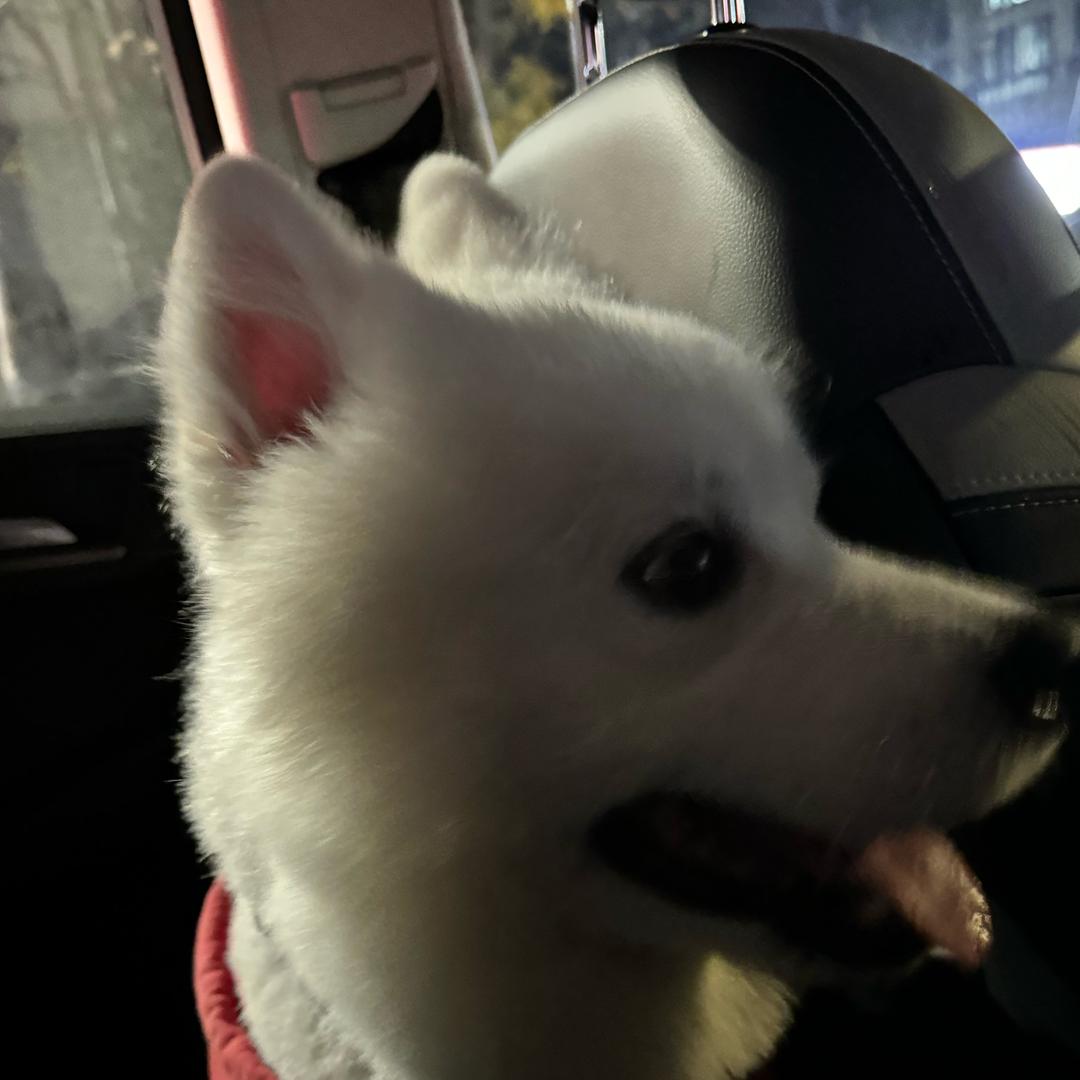 黑暗傲世无敌大魔尊