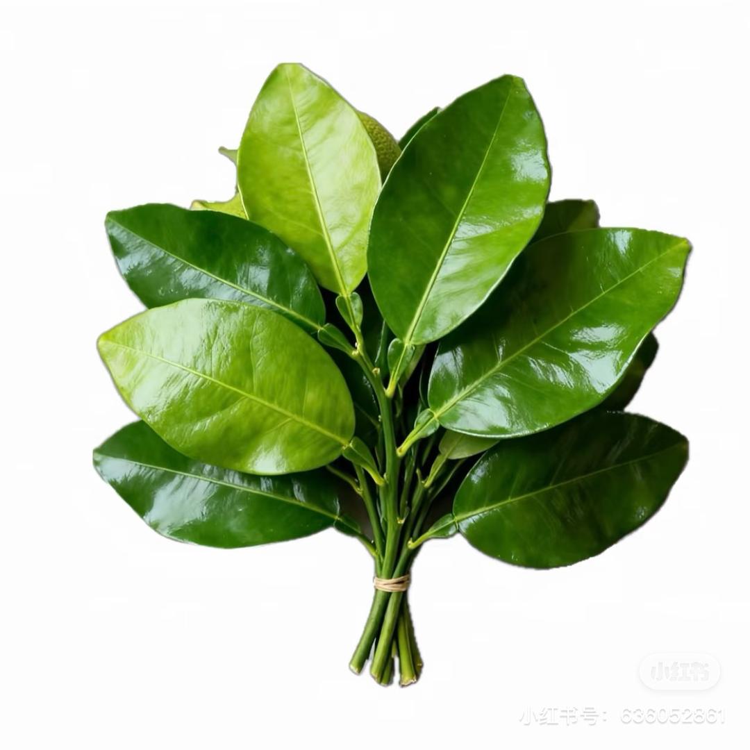 陶秋汝