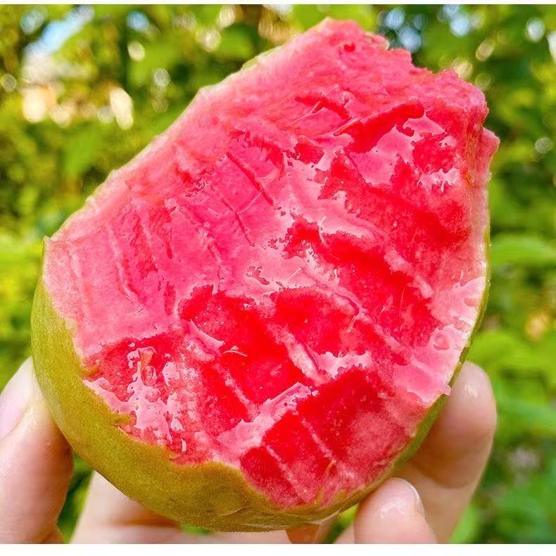 明明家精品水果