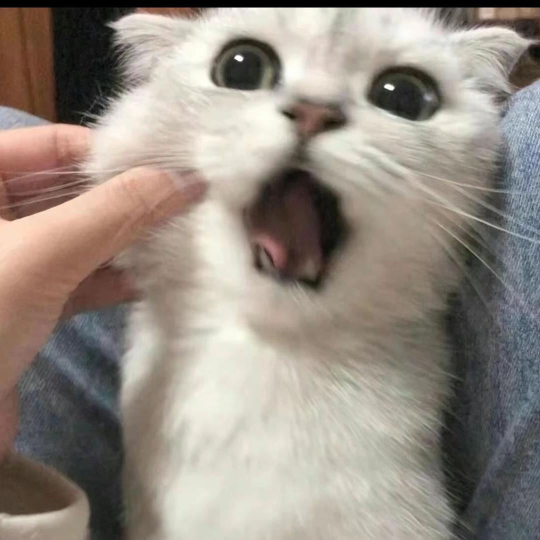 秋刀魚