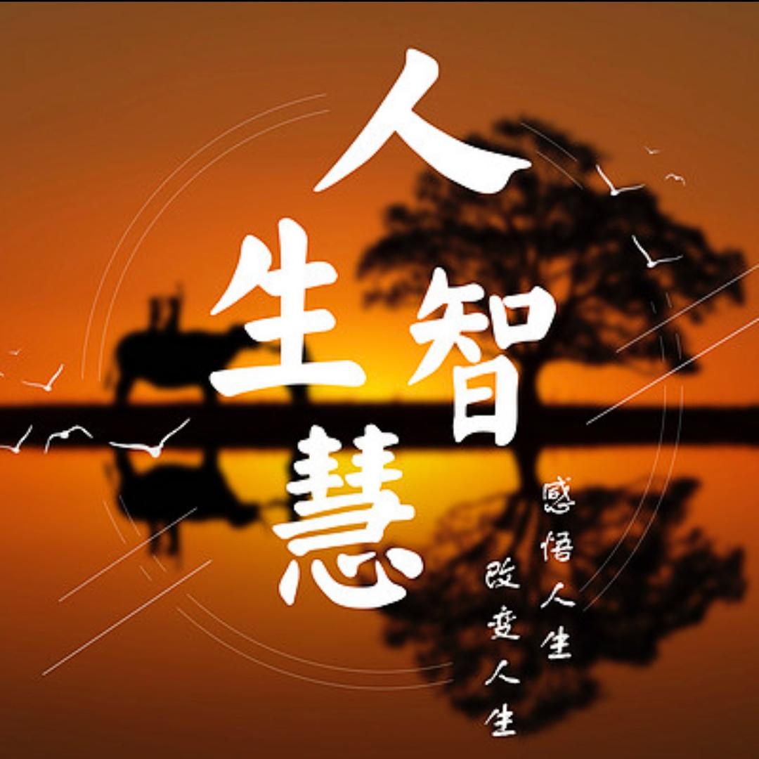 《智慧树》🌲