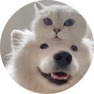 寻常.