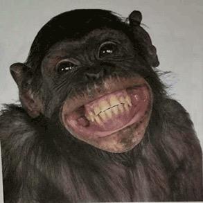 超爱三号小姐姐