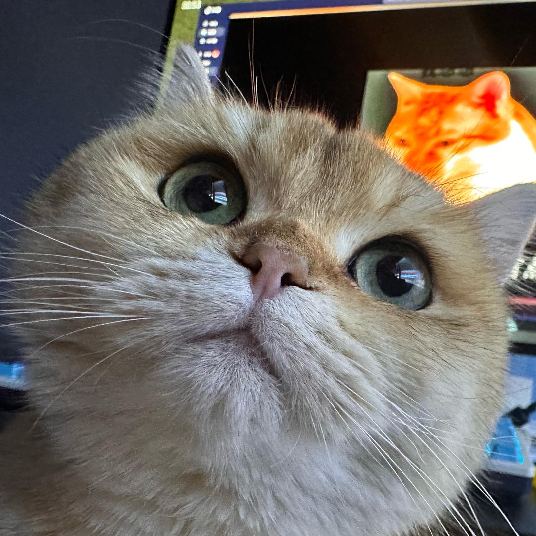 买不起低温蜡调M用热融棒被骂超雄