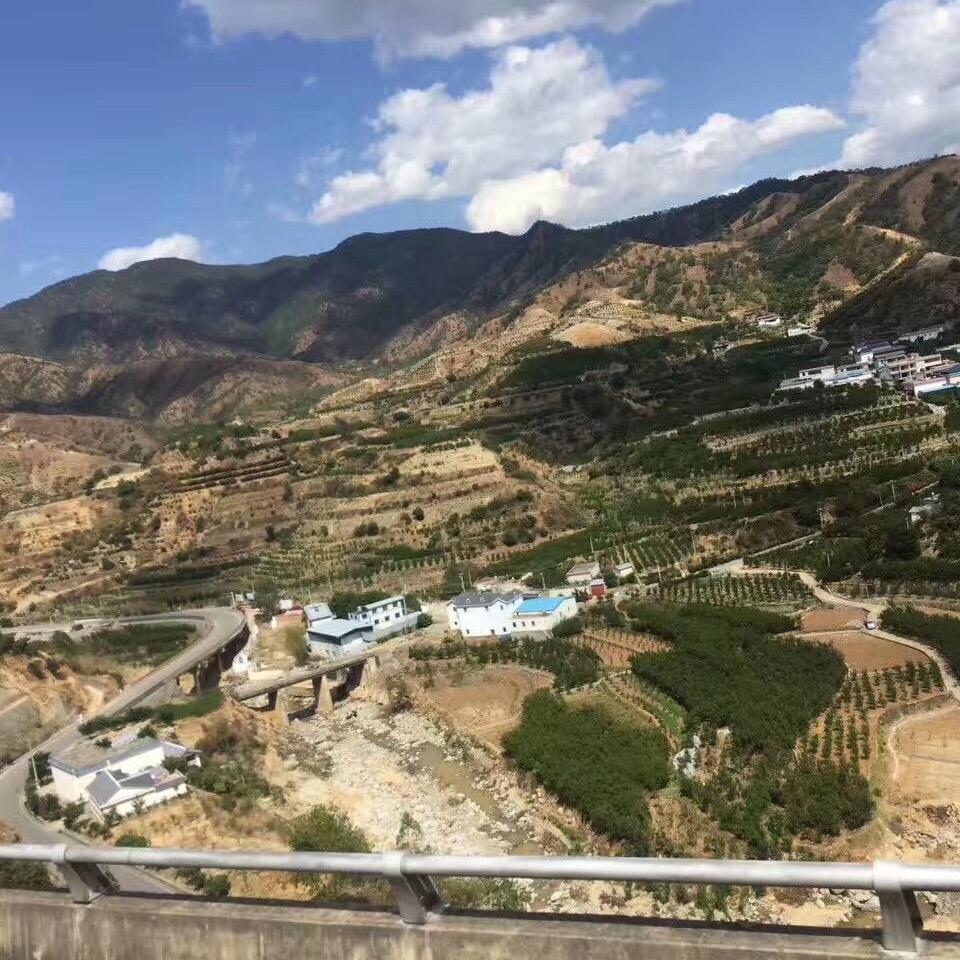 普通大叔😎