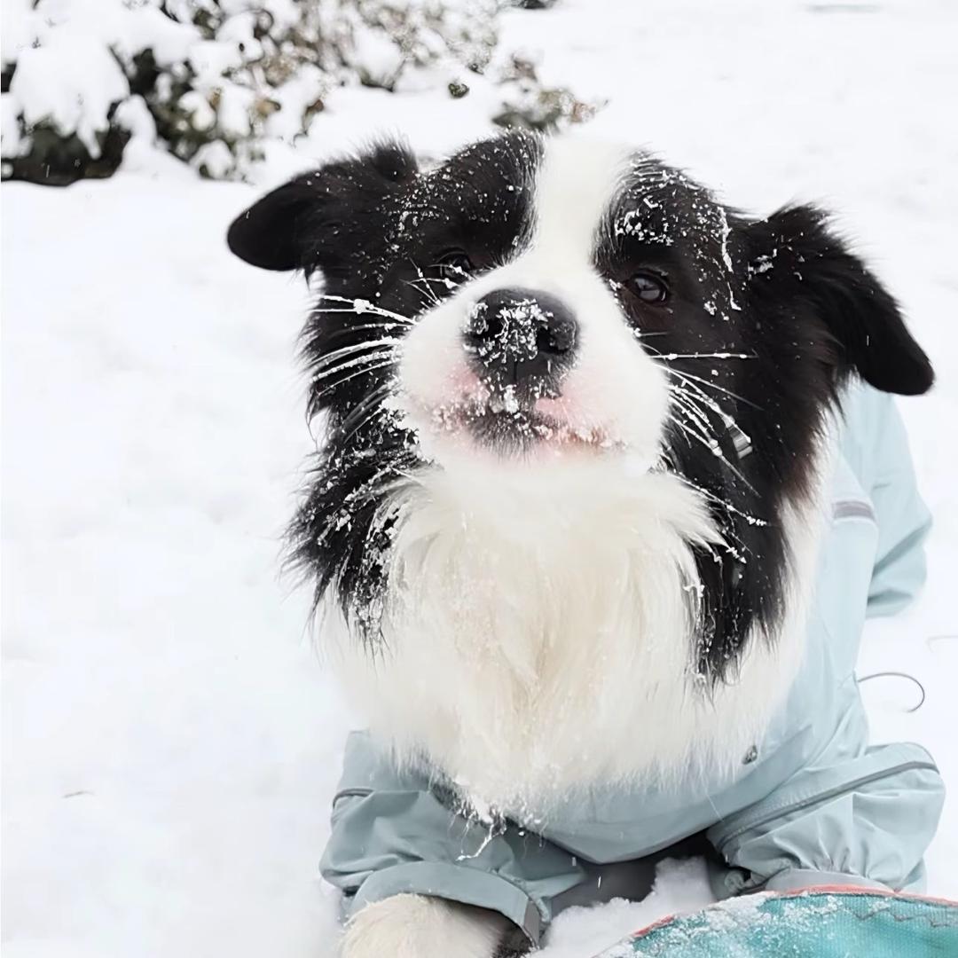 咖啡加冰不加奶