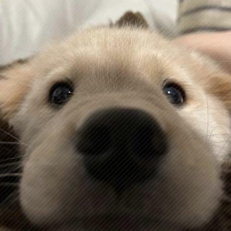 想不着吃什么