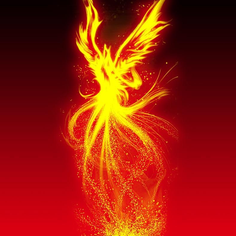 🔥凤凰